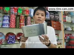 Ovales galvanisés zinguent le pot de planteur de vase en métal pour la décoration de jardin de fleurs